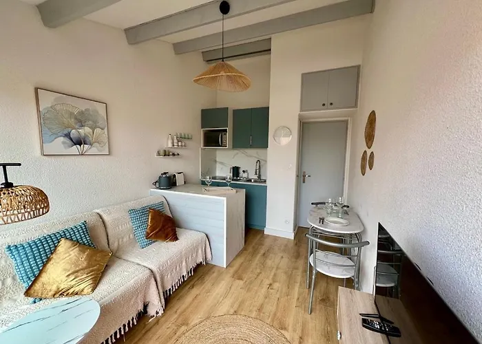 Cosy Balcon Sud - Naturiste 75 M Appartamento *